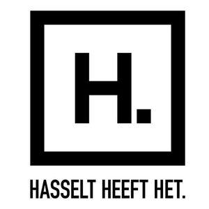 Stad Hasselt: Hasselt heeft het